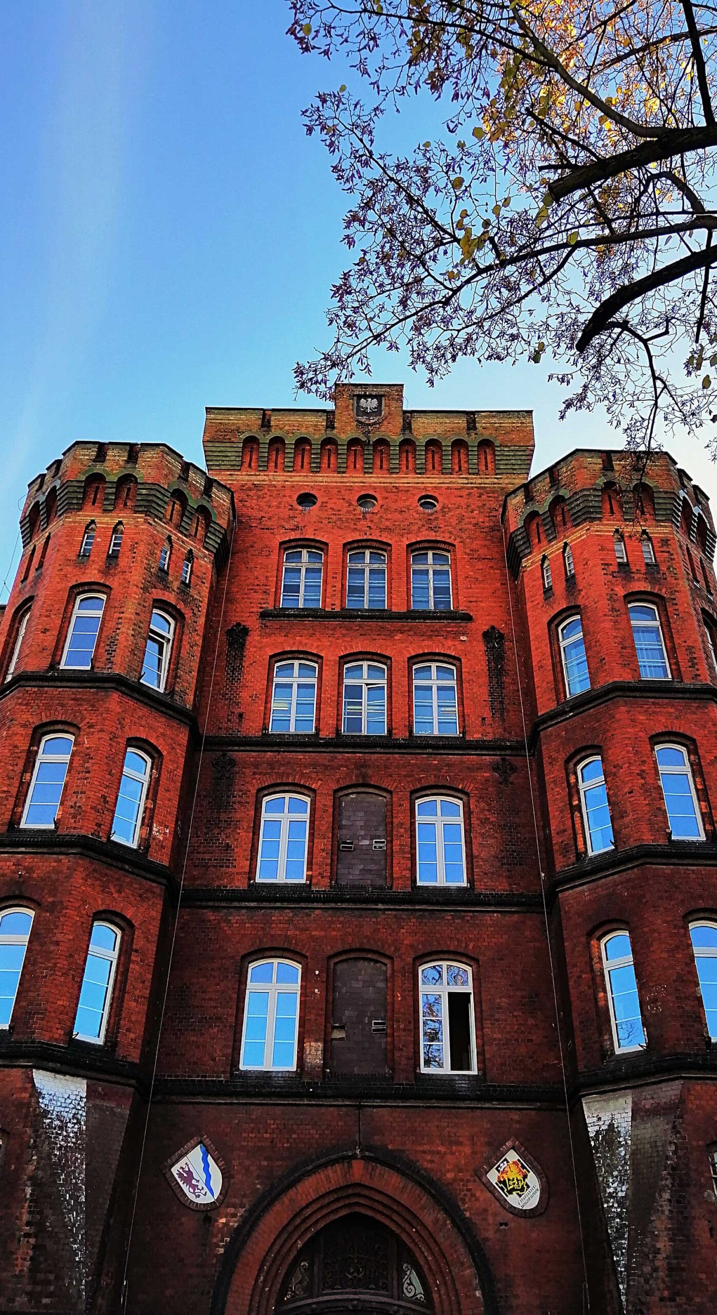Harvard University